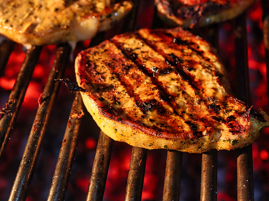 Commercial Park Grill Features Guide: Durable Outdoor Cooking Solutions